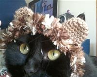 Crochet Cat Lion Hat